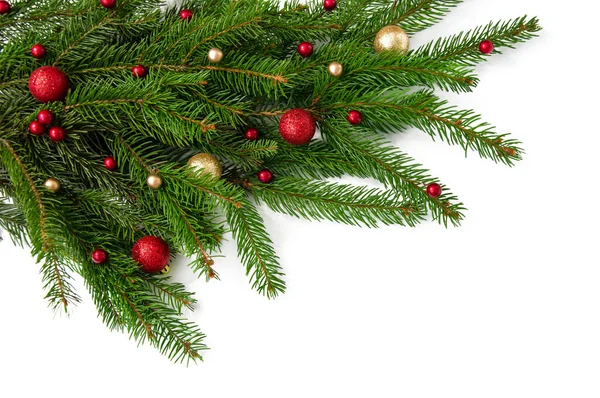 Рождественская Ветвь Натуральной Елки Красными Золотыми Шариками Белом Фоне Крупным — стоковое фото