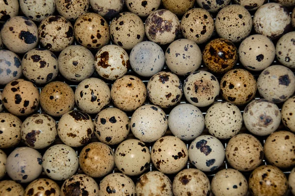 卵を焼く ウズラの卵の食感 — ストック写真