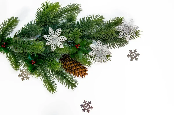 크리스마스 배경에 장식을 가지들 — 스톡 사진
