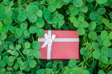 Yeşil yonca yapraklı kırmızı hediye kutusu. Aziz Patrick Günü.