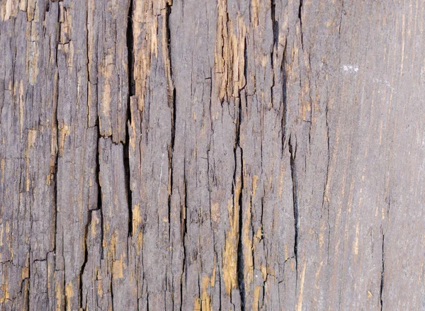 La textura de madera vieja — Foto de Stock
