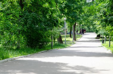 yol ile yeşil park, ağaçlar sokak