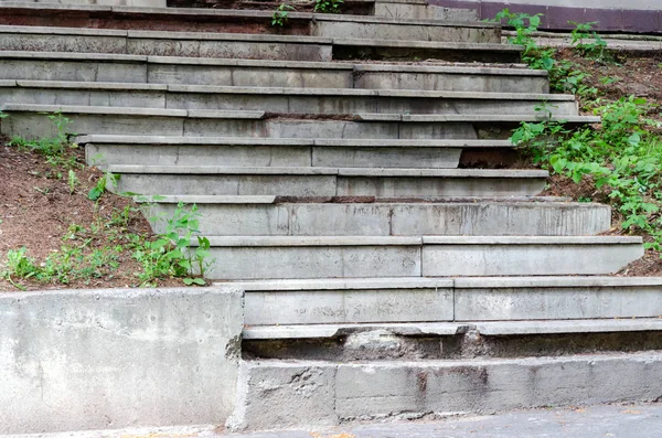 Elpusztult régi beton lépcsőn a parkban, betonozott, curbstone, zöld fű, fák — Stock Fotó