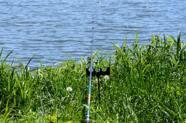 Día de pesca en el lago del bosque —  Fotos de Stock