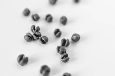 Beyaz arka planda balık lavaboların yakın çekim