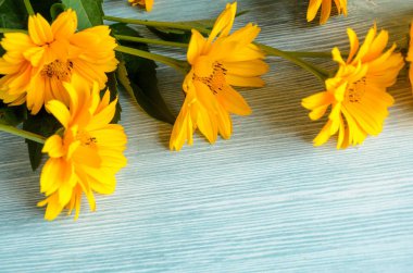 Ahşap arka plan üzerinde sarı çiçekler kompozisyon. Bahar, paskalya, bithday.