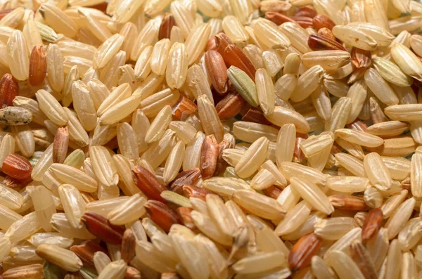 Коричневый и красный рис крупным планом, концепция здорового питания, пищевой фон — стоковое фото