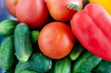 Ürün yelpazesine taze sebze arka plan. Organik gıdalar ve diyet konsepti.