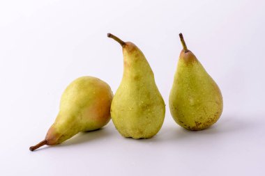 armutlar beyaz arkaplanda