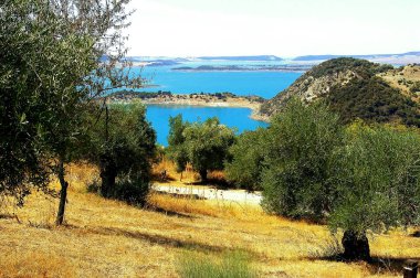 Cadiz, Andalusia bir göl etrafındaki ağaçlarla. İspanya. Europe