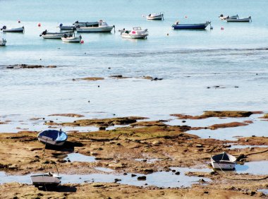Cadiz Körfezi başkentinde Andalucia balıkçı tekneleri. İspanya. Europe