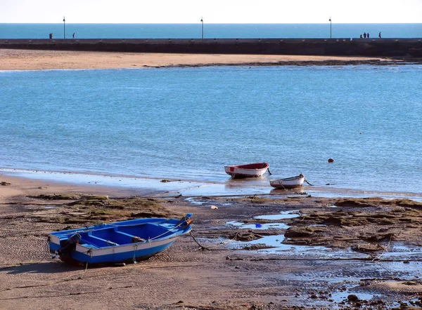 Barche Pesca Nella Baia Cadice Capitale Andalusia Spagna Europa — Foto Stock