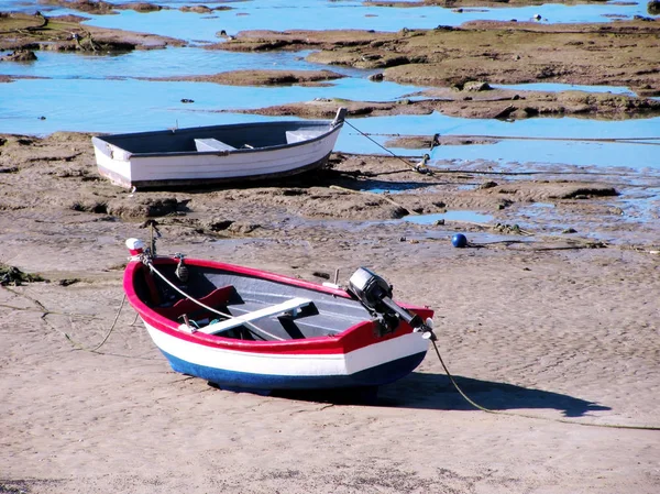 Barche Pesca Nella Baia Cadice Capitale Andalusia Spagna Europa — Foto Stock