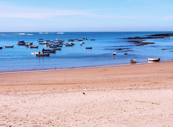 Fishing Boats Bay Cadiz Capital Andalucia Spain Europe — Stock Photo, Image