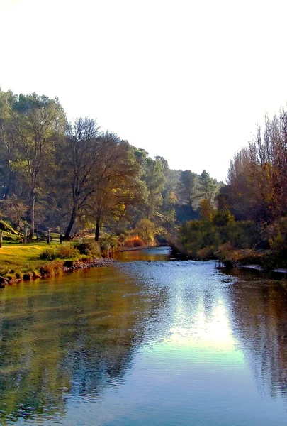 Árvores Redor Lago Cádiz Andaluzia Espanha Europa — Fotografia de Stock