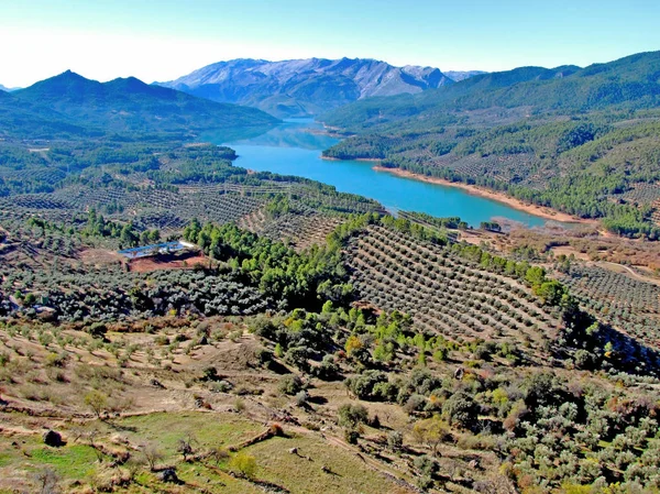 Tranco depo, Tranco de çıkmışsanız, Sierras de Cazorla, Segura ve Las Villas, Jan, Andalusia doğal Park bulunan bataklık. İspanya. Europe             
