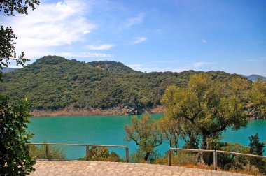 Tranco depo, Tranco de çıkmışsanız, Sierras de Cazorla, Segura ve Las Villas, Jaen, Andalusia doğal Park bulunan bataklık. İspanya. Europe