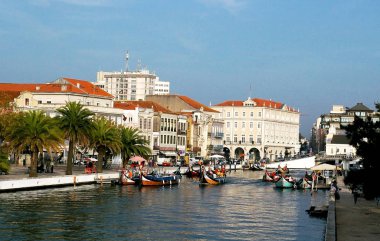 Kano Aveiro, Portekiz bir yürüyüşe. Europe
