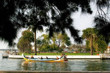 Kano Aveiro, Portekiz bir yürüyüşe. Europe