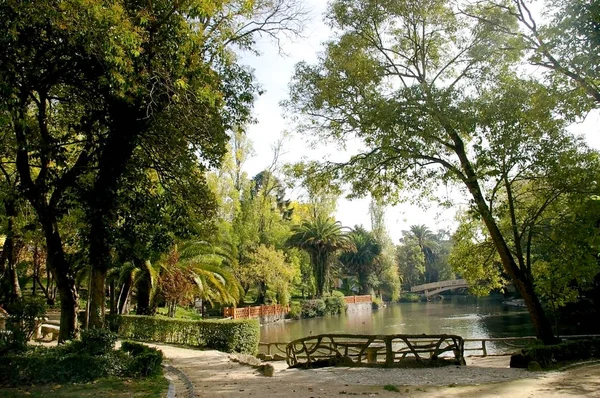 Sjön Infante Don Pedro Park Aveiro Portugal Europa — Stockfoto