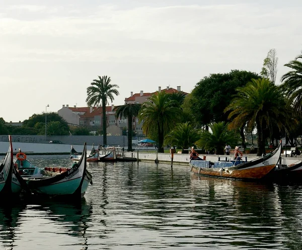 Kano Aveiro Portekiz Bir Yürüyüşe Europe — Stok fotoğraf