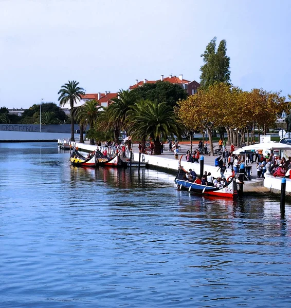 Kano Aveiro, Portekiz bir yürüyüşe. Europe