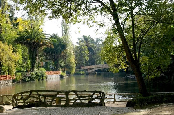 Brücke Über Den See Von Infante Don Pedro Park Aveiro — Stockfoto