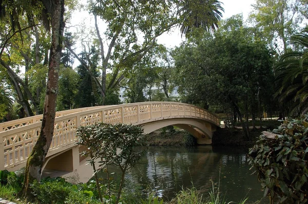 Bro Sjön Infante Don Pedro Park Aveiro Portugal Europa — Stockfoto