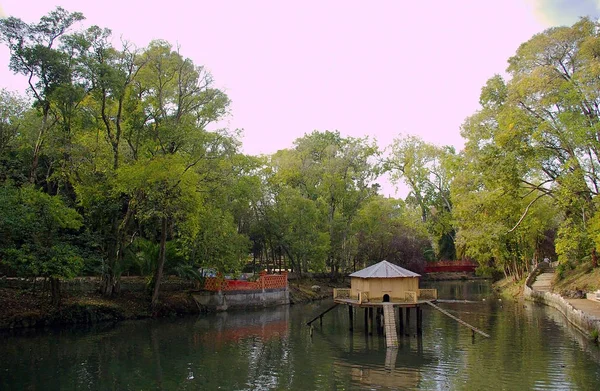 Casa Pato Lago Parque Infante Don Pedro Aveiro Portugal Europa — Fotografia de Stock