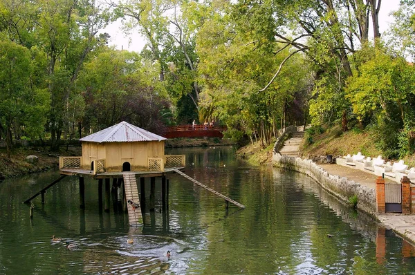 インファンテの湖にあるダックハウス アヴェイロのポルトガル ペドロ公園にあります ヨーロッパ — ストック写真