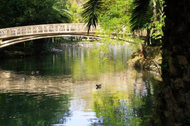 , Portekiz Aveiro içinde Infante Don Pedro Park Gölü Köprüsü. Avrupa