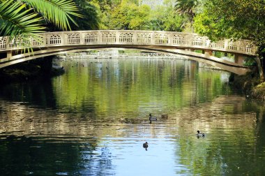 , Portekiz Aveiro içinde Infante Don Pedro Park Gölü Köprüsü. Avrupa
