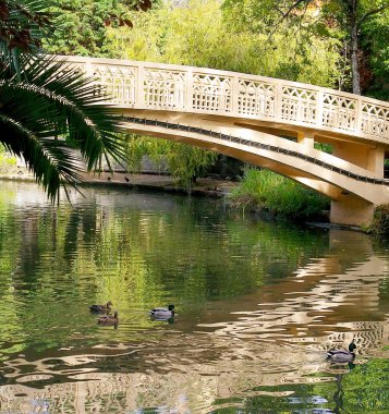 , Portekiz Aveiro içinde Infante Don Pedro Park Gölü Köprüsü. Avrupa