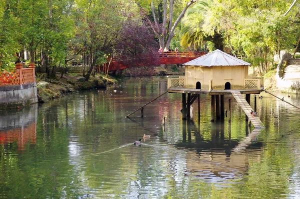Aveiro, Portekiz 'de Infante Don Pedro Park Gölü ördek evi. Avrupa