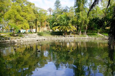 Infante Don Pedro Park Aveiro, Portekiz. Avrupa