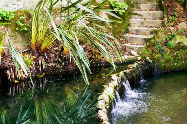 Infante Don Pedro Park Aveiro, Portekiz. Avrupa