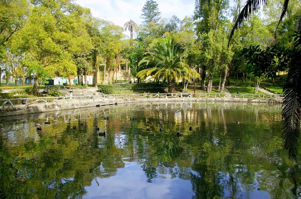 Infante Don Pedro Park Aveiro, Portekiz. Avrupa