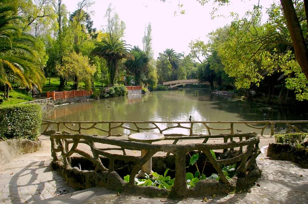 Infante Don Pedro Park Aveiro Portugal Europa — Stockfoto