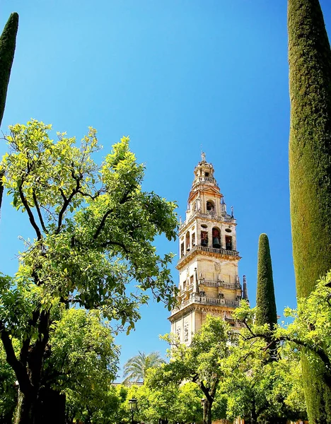 Bell Tower Grand Mesquita Córdoba Andaluzia Espanha Europa — Fotografia de Stock
