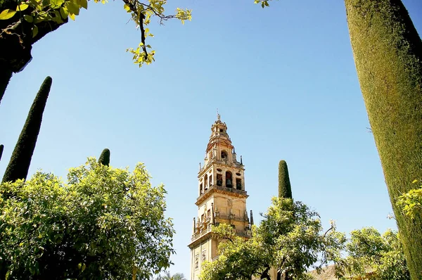 Bell Tower Grand Mosque Cordoba Andalusia Spain Europe — Stock Photo, Image