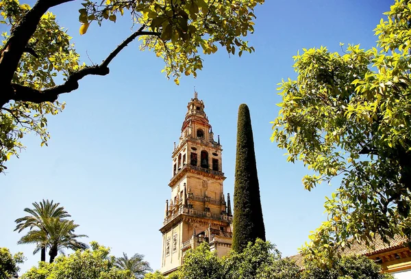 Bell Tower Grand Mosque Cordoba Andalusia Spain Europe — Stock Photo, Image