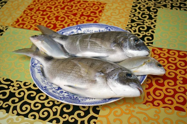 Ψάρι Που Ονομάζεται Ντοράντα Στα Ισπανικά Για Μαγείρεμα — Φωτογραφία Αρχείου