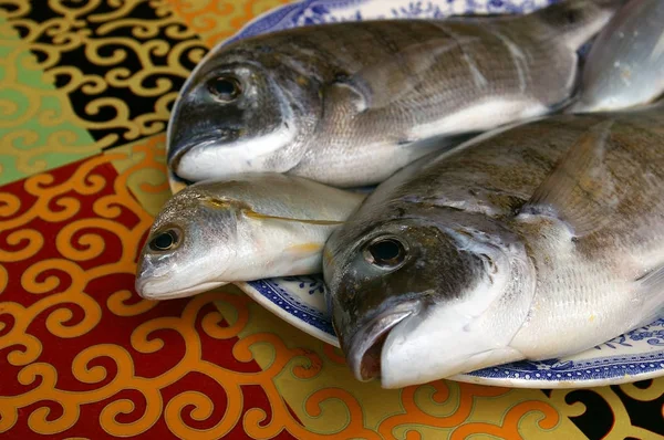 Ψάρι Που Ονομάζεται Ντοράντα Στα Ισπανικά Για Μαγείρεμα — Φωτογραφία Αρχείου
