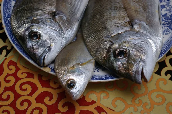 Balık Ispanyolca Dorada Denilen Yemek Için — Stok fotoğraf