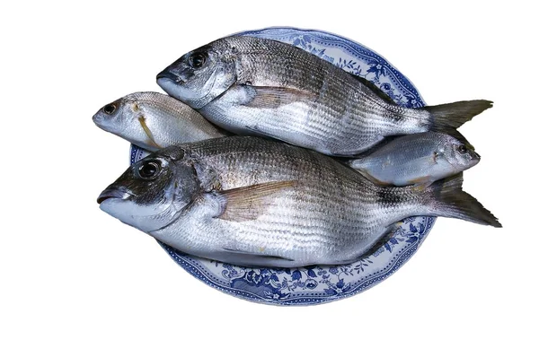 Риба Яка Називається Dorada Іспанською Мовою Приготування Їжі — стокове фото