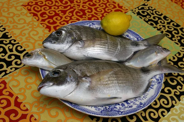 요리에 스페인어로 불리는 물고기 — 스톡 사진