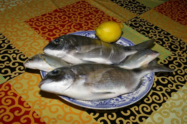 Pesce Chiamato Dorada Spagnolo Cucinare — Foto Stock