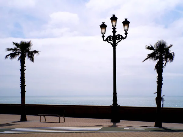 Lampada Luce Palma Nel Porto Cdiz Andalusia Spagna Europa — Foto Stock