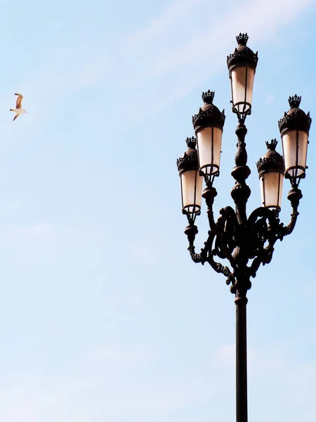 Lamp of light in the port of Cadiz. Andalusia. Spain. Europe