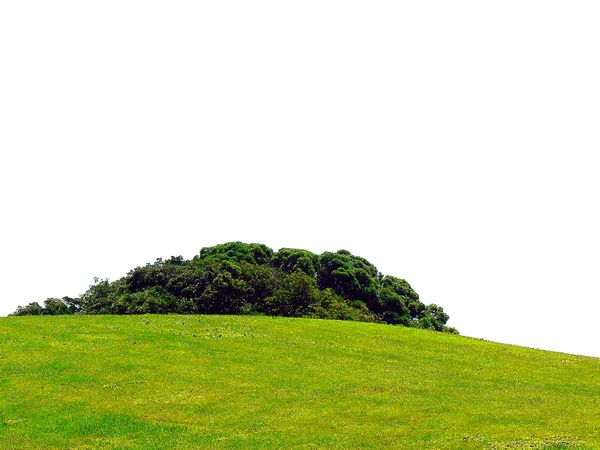 Campo Verde Costa Gijon Astúrias Espanha Europa — Fotografia de Stock